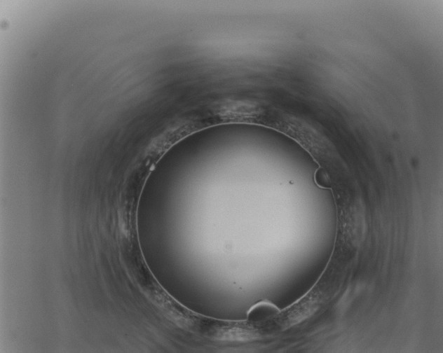 X0000062850755200601201703