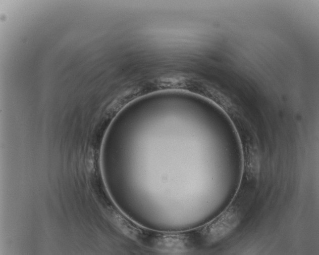 X0000062850758200601201703