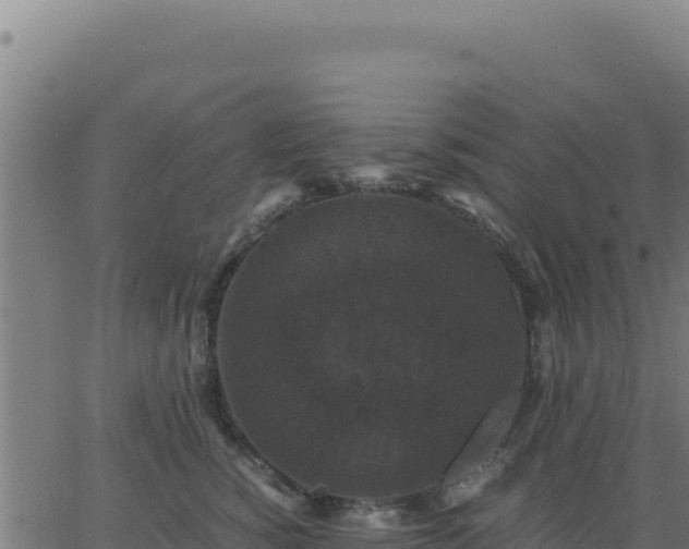 X0000062850760200601201703