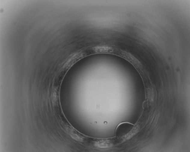 X0000062850761200601201703