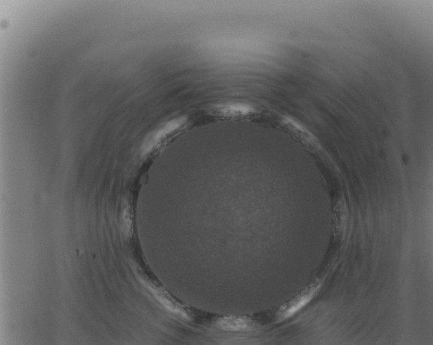 X0000062850762200601201703