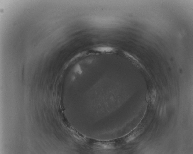 X0000062850763200601201703