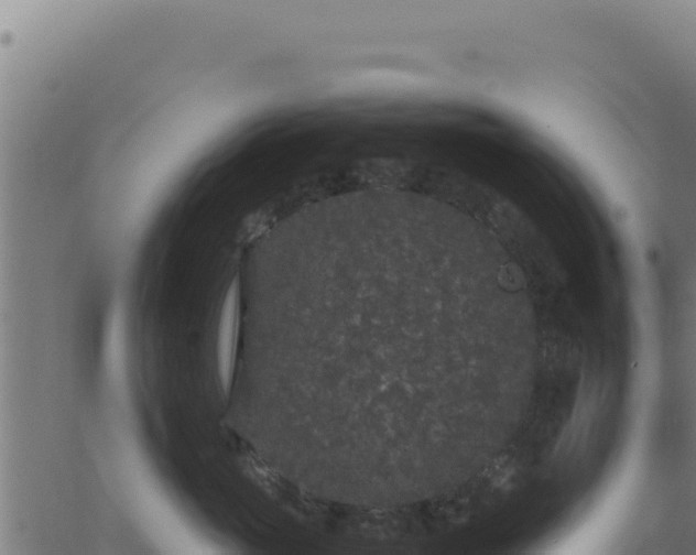 X0000062850765200601201703