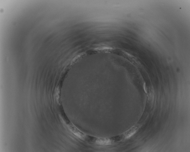 X0000062850767200601201703