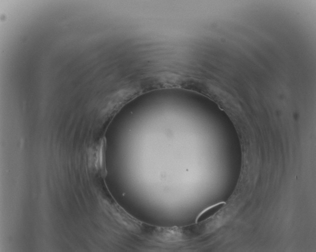 X0000062850768200601201703