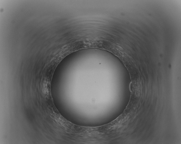 X0000062850770200601201702