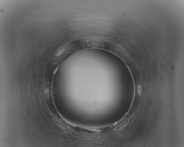 X0000062850771200601201702