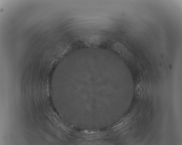 X0000062850772200601201702