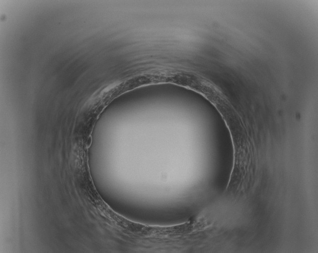 X0000062850773200601201702