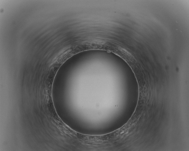 X0000062850774200601201702