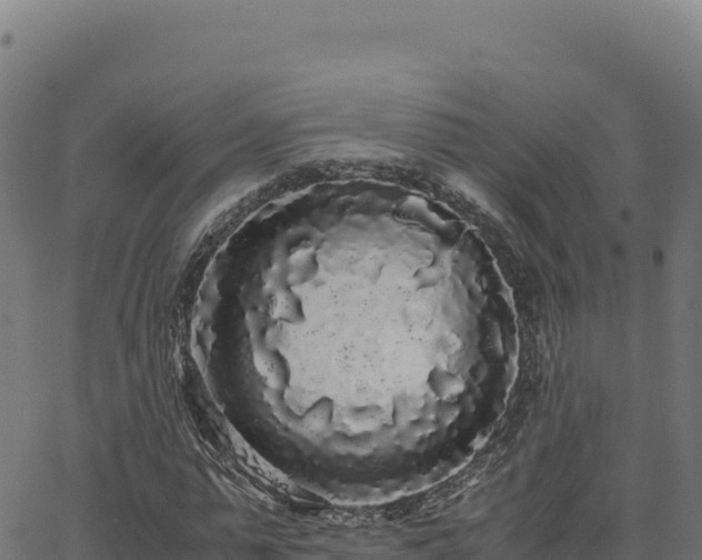 X0000062850775200601201702