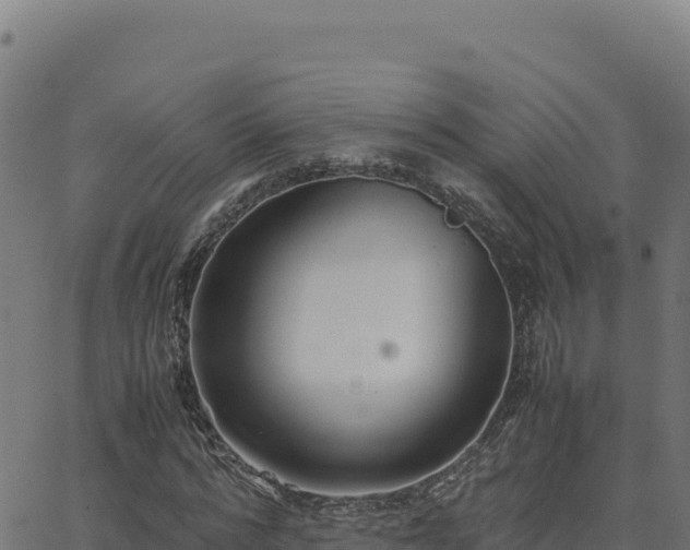 X0000062850776200601201702