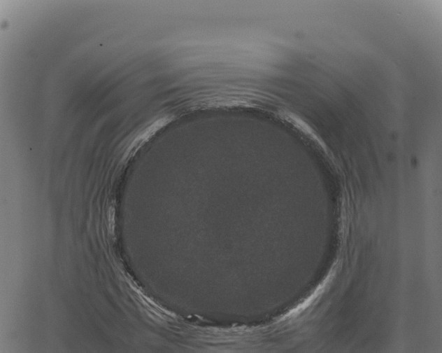 X0000062850777200601201702