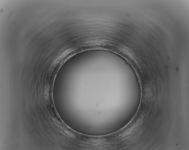 X0000062850778200601201702