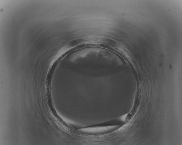 X0000062850779200601201702