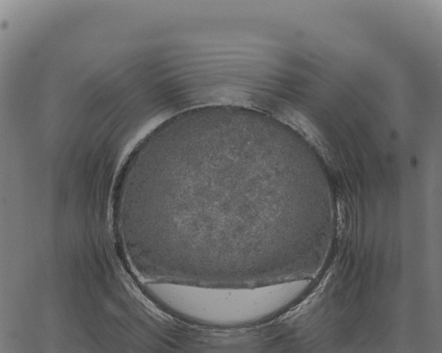 X0000062850780200601201702