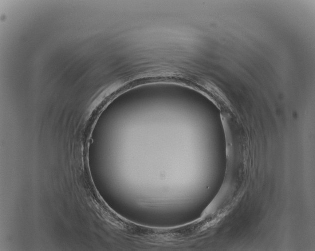 X0000062850781200601201702