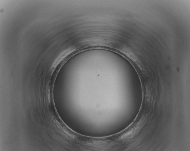 X0000062850782200601201702