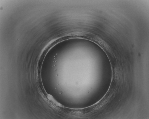 X0000062850784200601201702