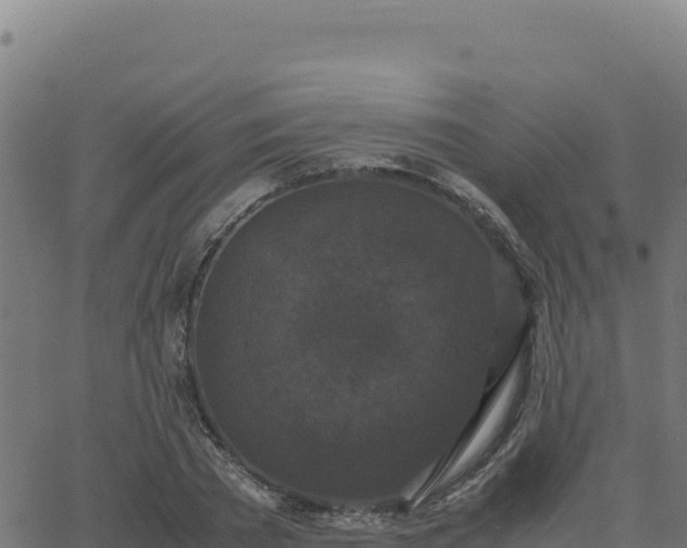 X0000062850785200601201702