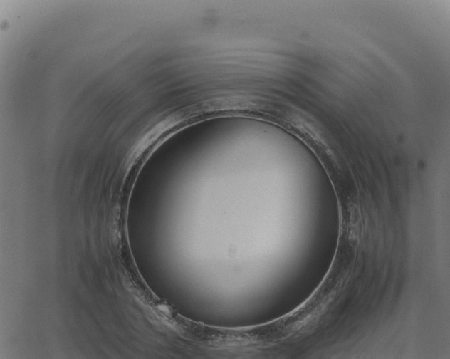 X0000062850786200601201702