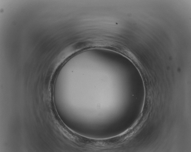 X0000062850787200601201702