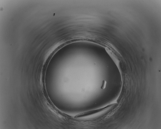 X0000062850788200601201702