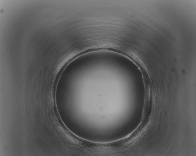 X0000062850789200601201702