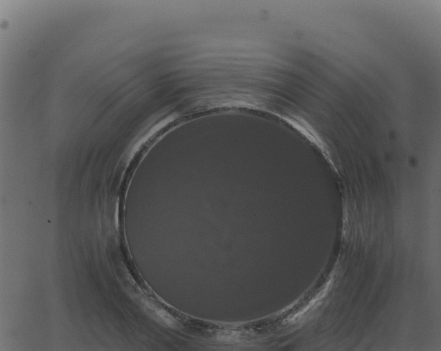 X0000062850790200601201702