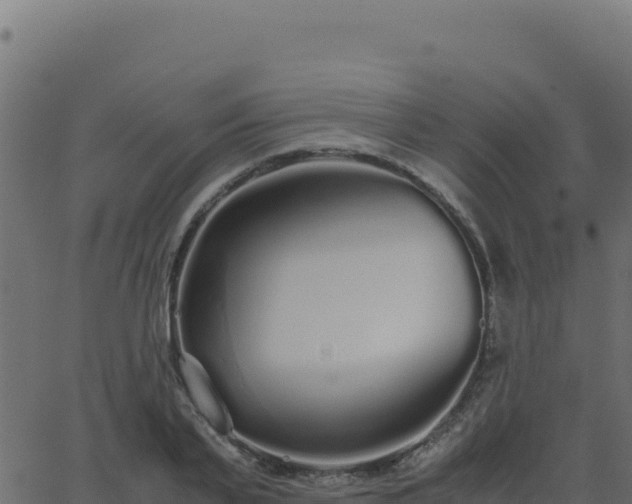 X0000062850791200601201702