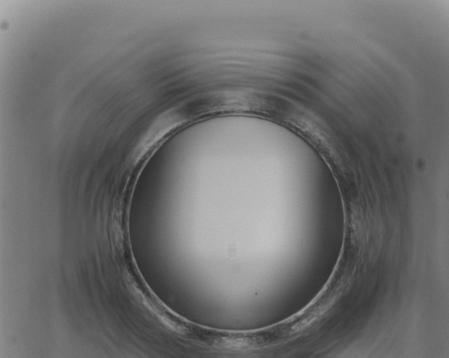 X0000062850794200601201702