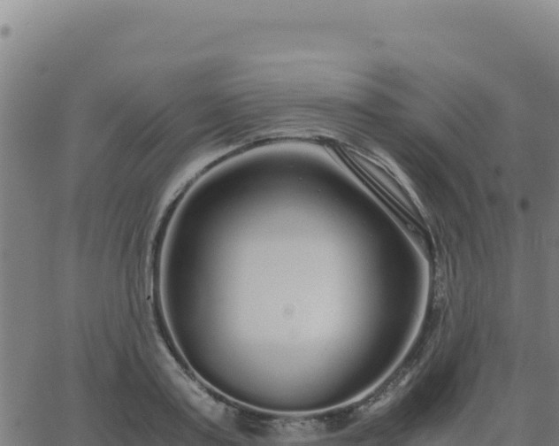 X0000062850795200601201702