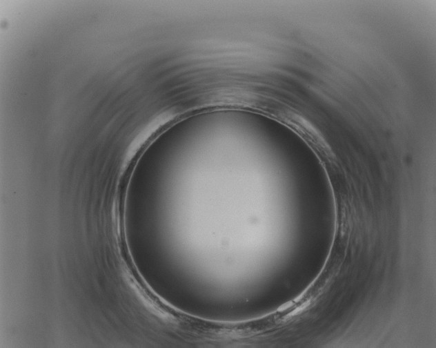 X0000062850796200601201702