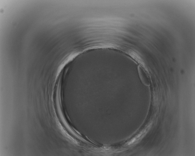 X0000062850797200601201702