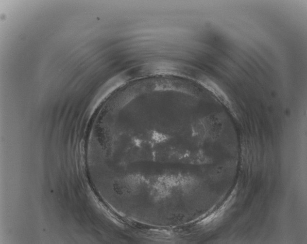 X0000062850798200601201702