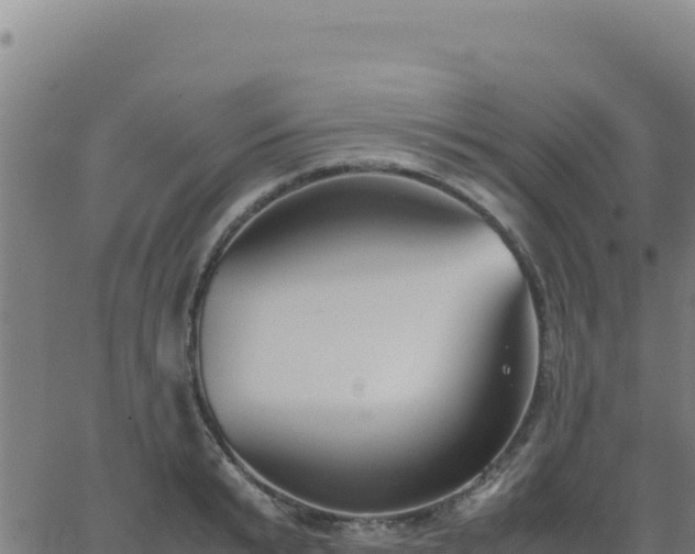 X0000062850799200601201702