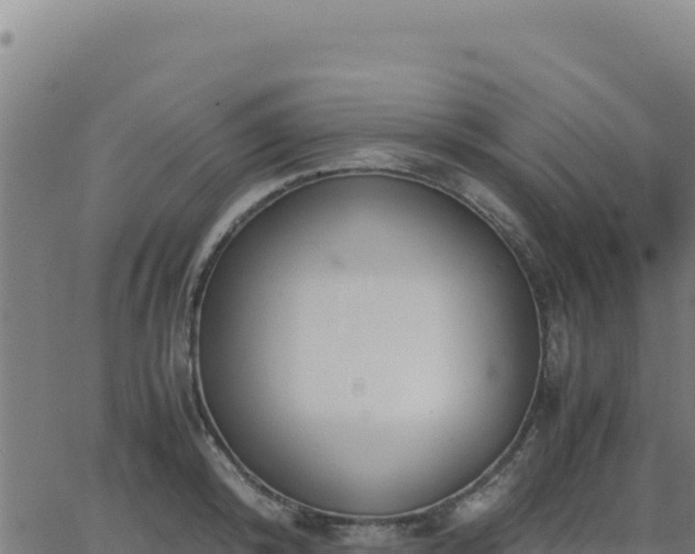 X0000062850800200601201702