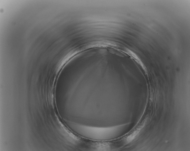 X0000062850802200601201702