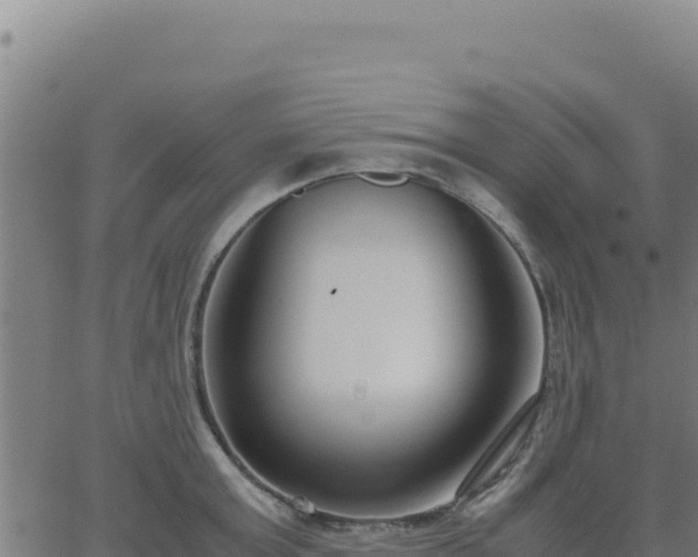 X0000062850803200601201702