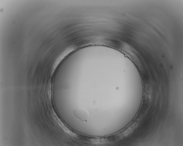 X0000062850804200601201702