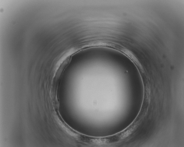 X0000062850805200601201702