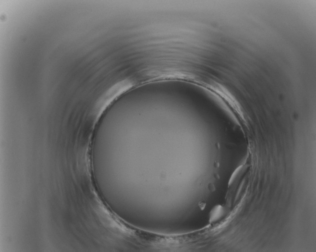 X0000062850806200601201702