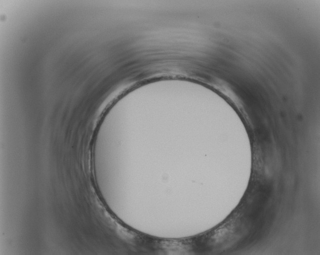 X0000062850807200601201702