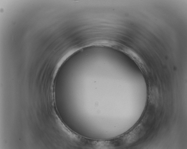 X0000062850808200601201702