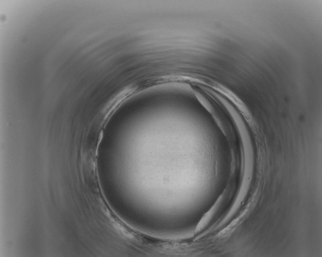 X0000062850809200601201702