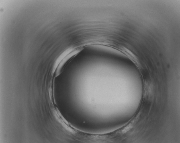 X0000062850812200601201702