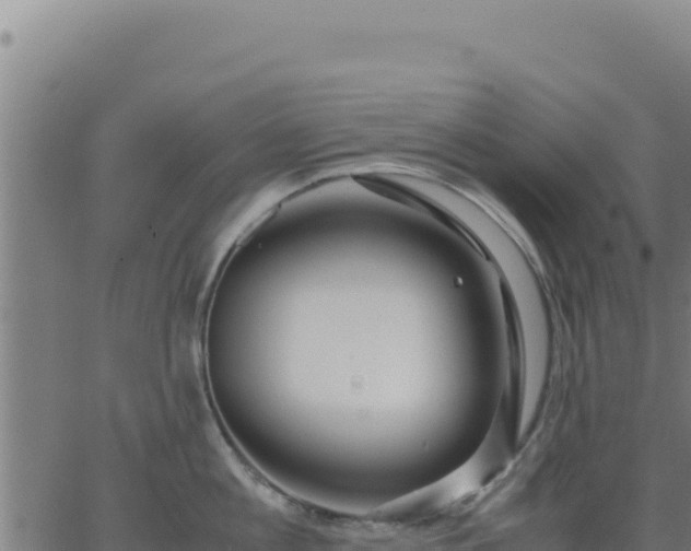 X0000062850813200601201702