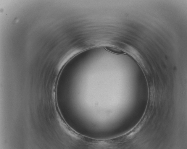 X0000062850814200601201702