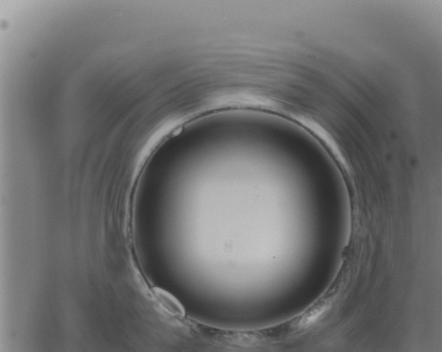 X0000062850815200601201701