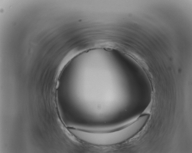 X0000062850816200601201701